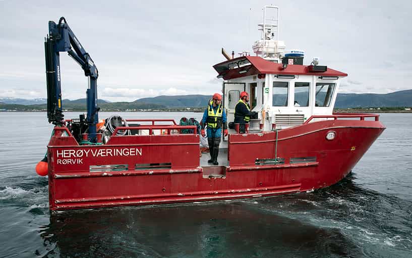 sinkaberg hansen