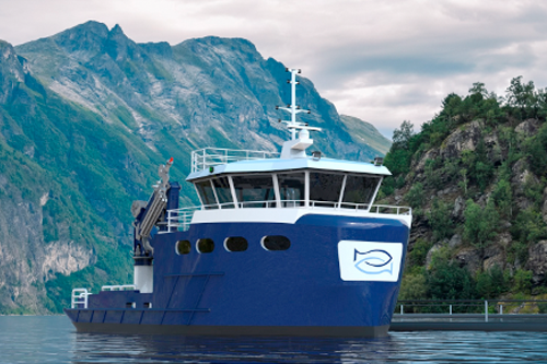 håløygen
